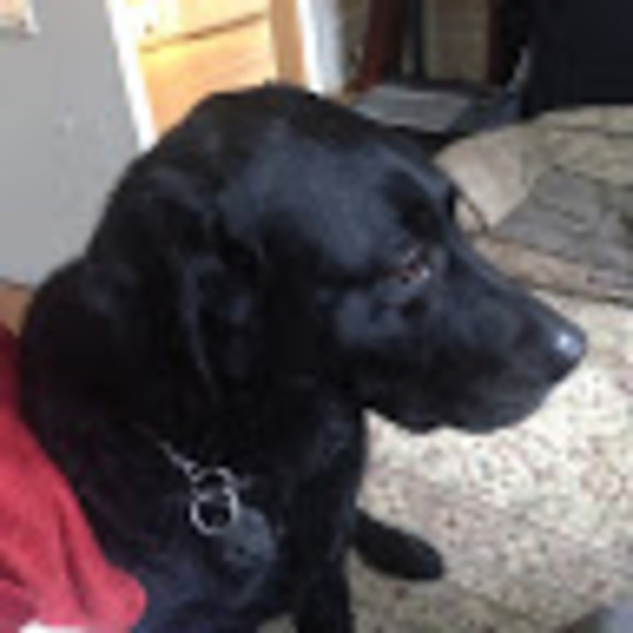 Meet your Posher, Mitchell - Picture 1 of 1